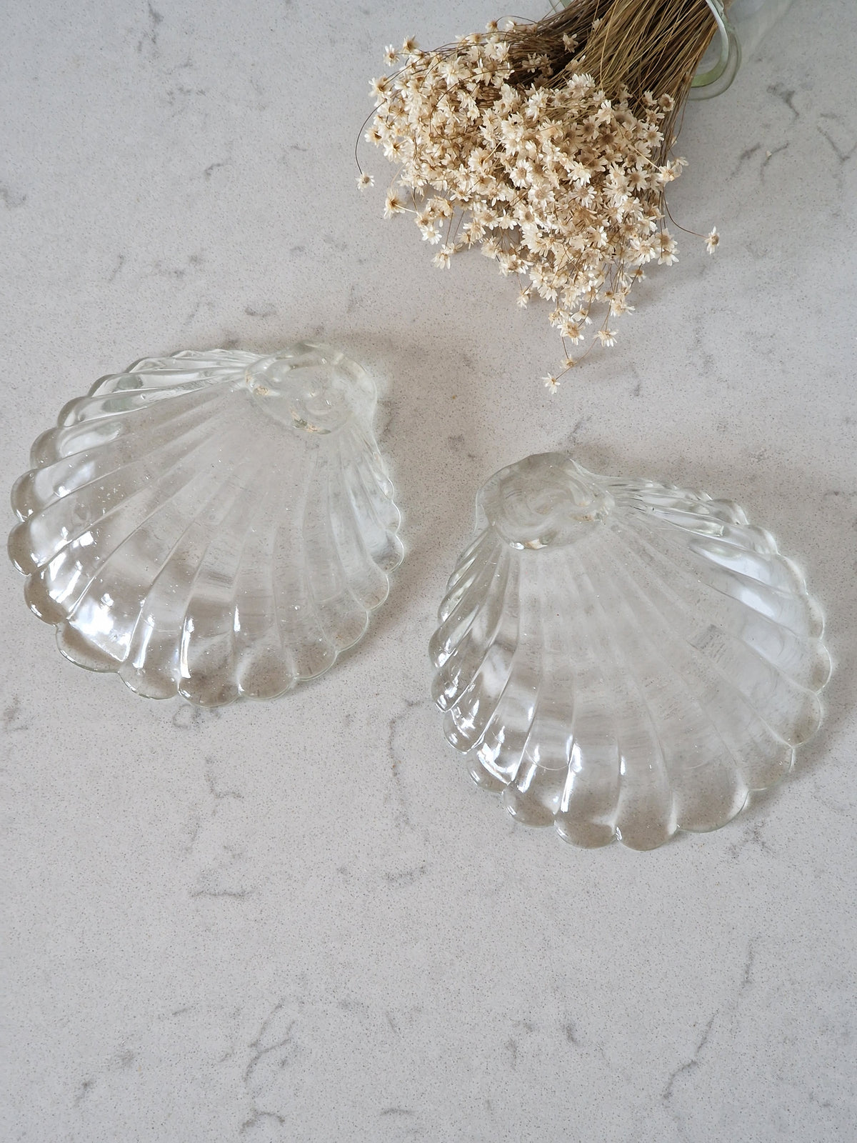 Mussel plates 2 pcs