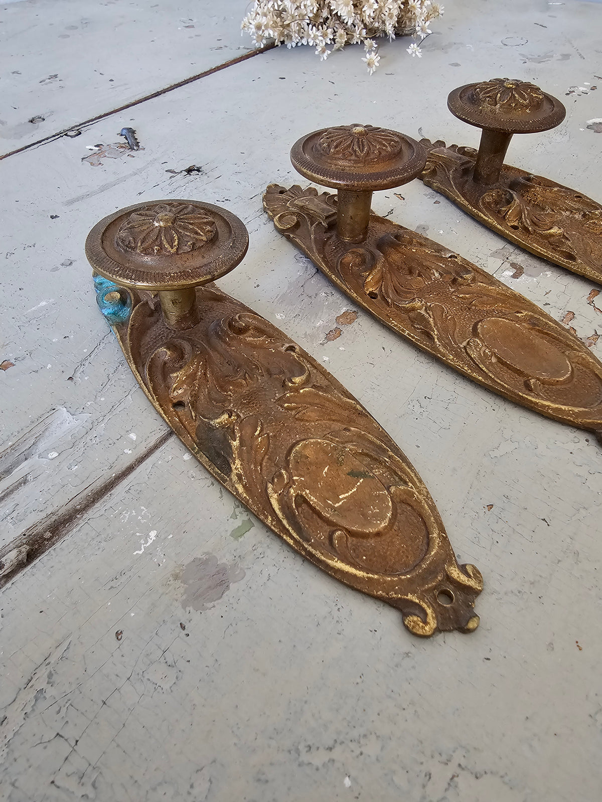 Door rosettes