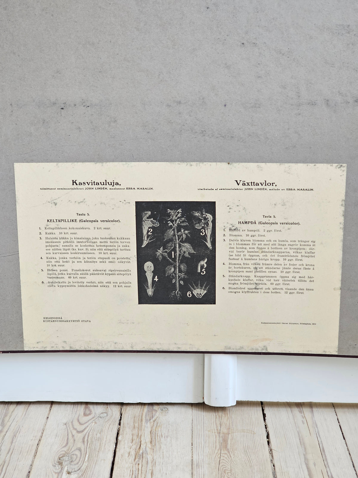 Ebba Masal's Keltapillike, 1950s