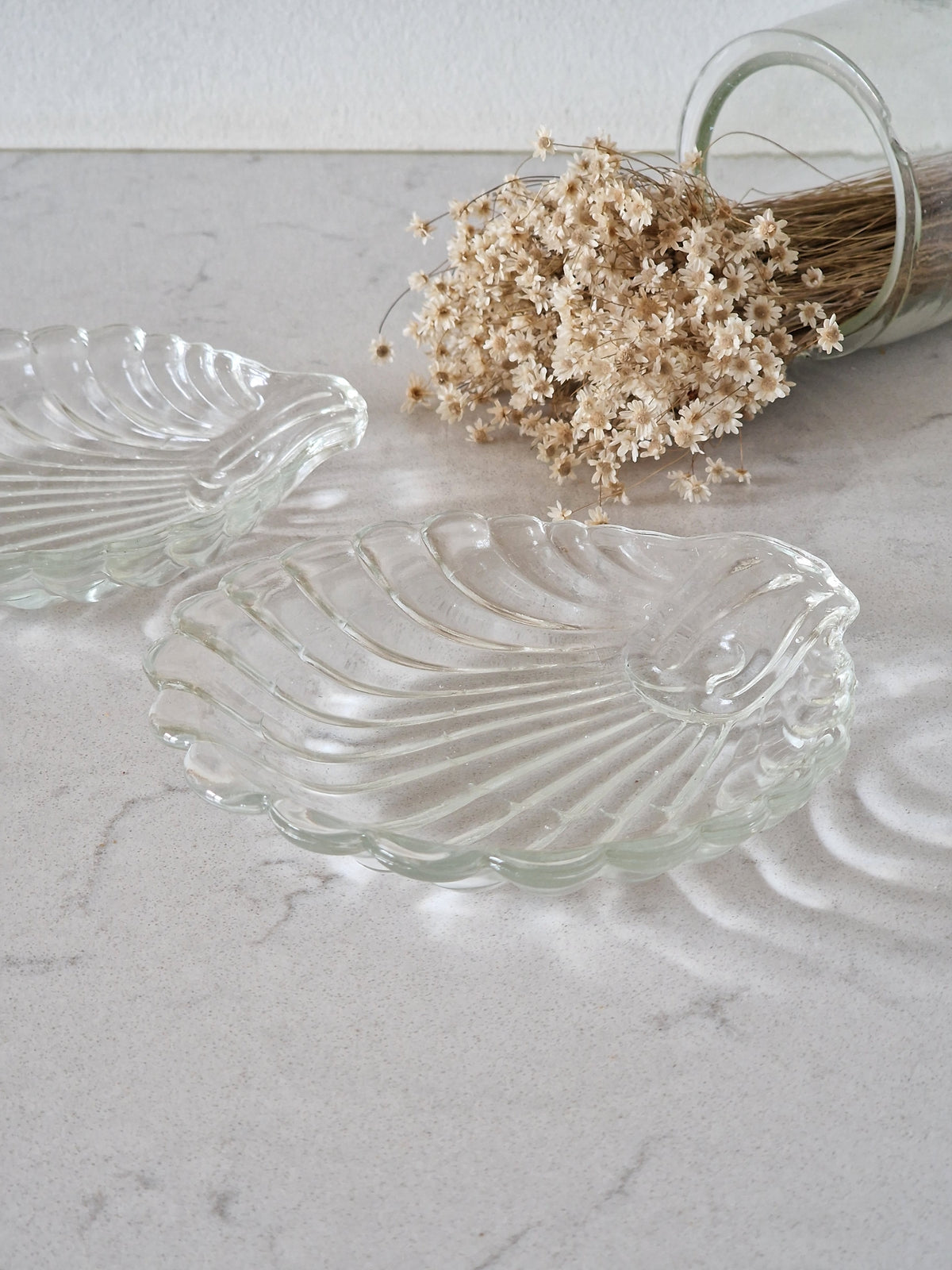 Mussel plates 2 pcs