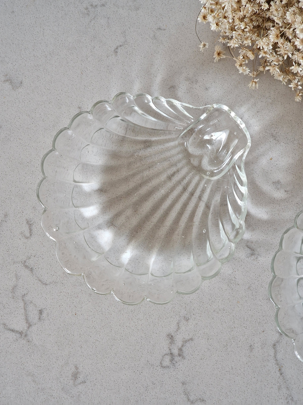 Mussel plates 2 pcs