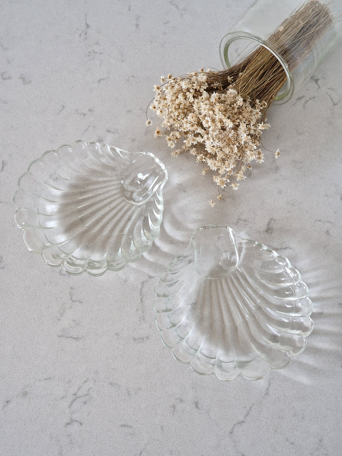 Mussel plates 2 pcs