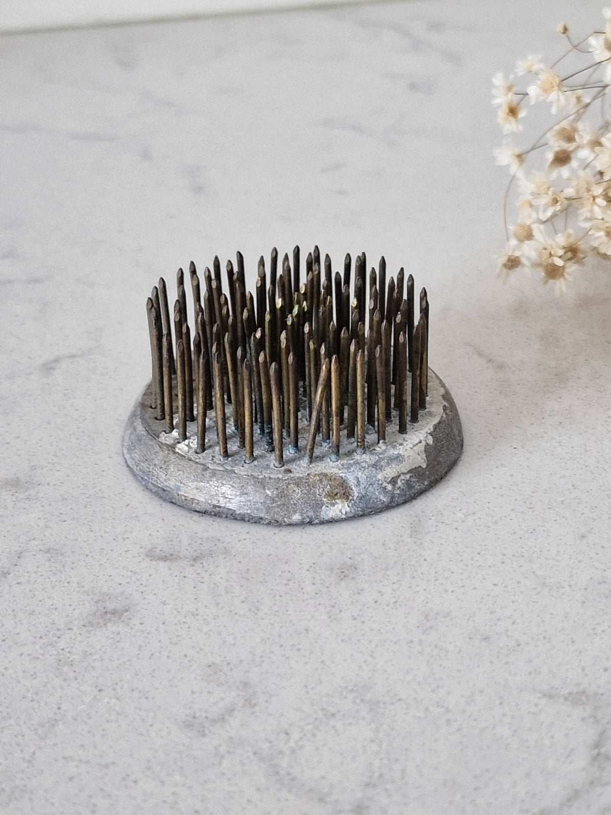 Flower hedgehog