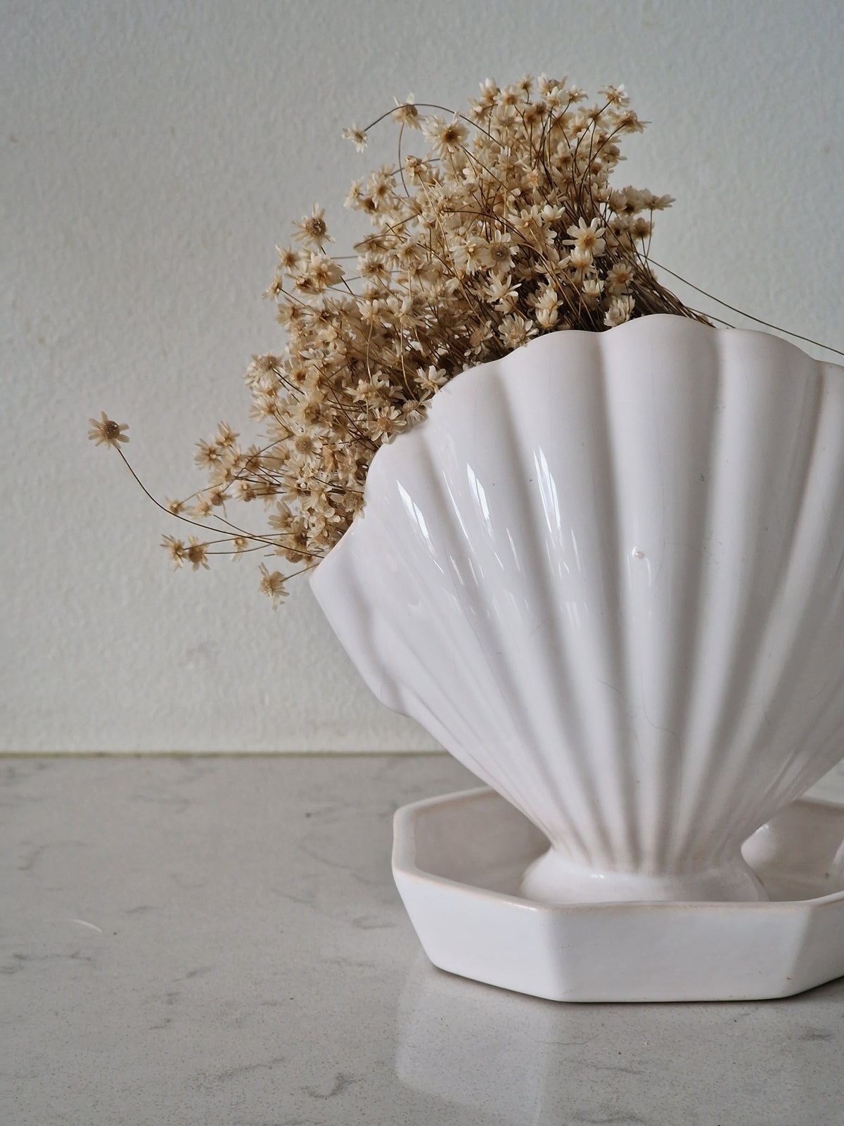 A clam pot