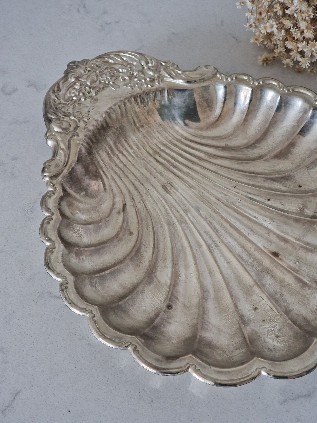A big plate of clams