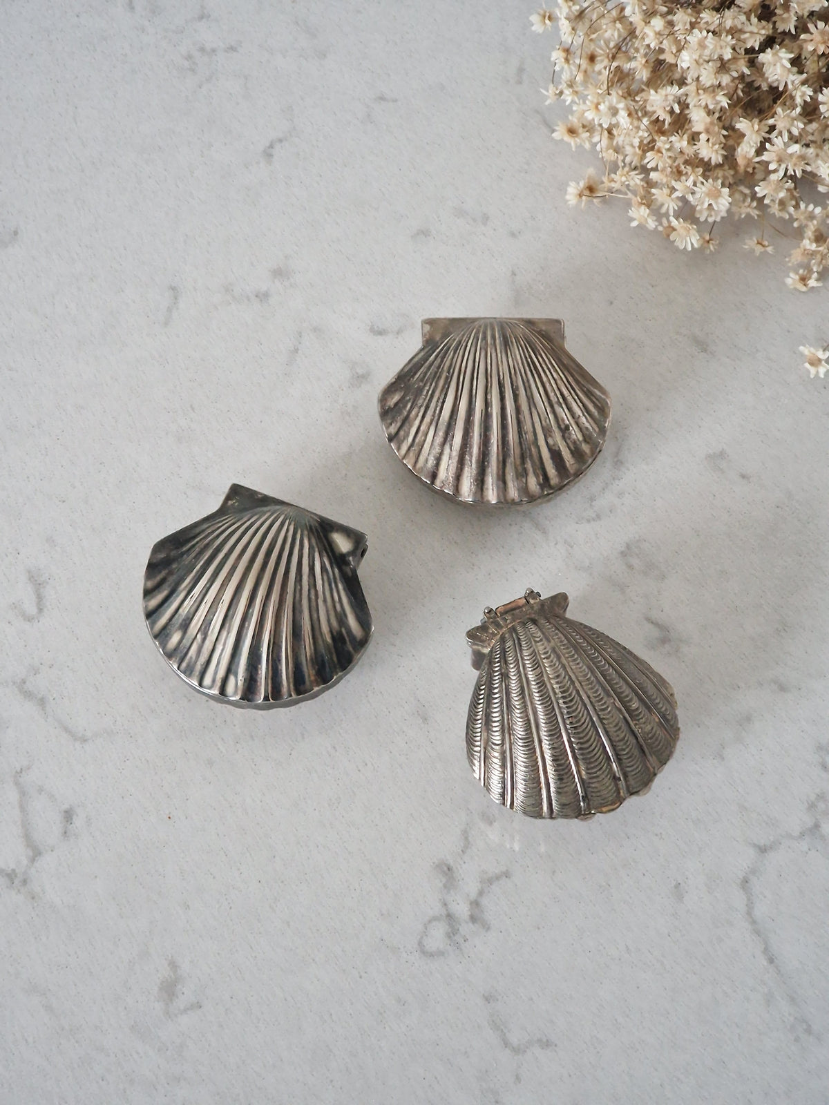 Shell boxes