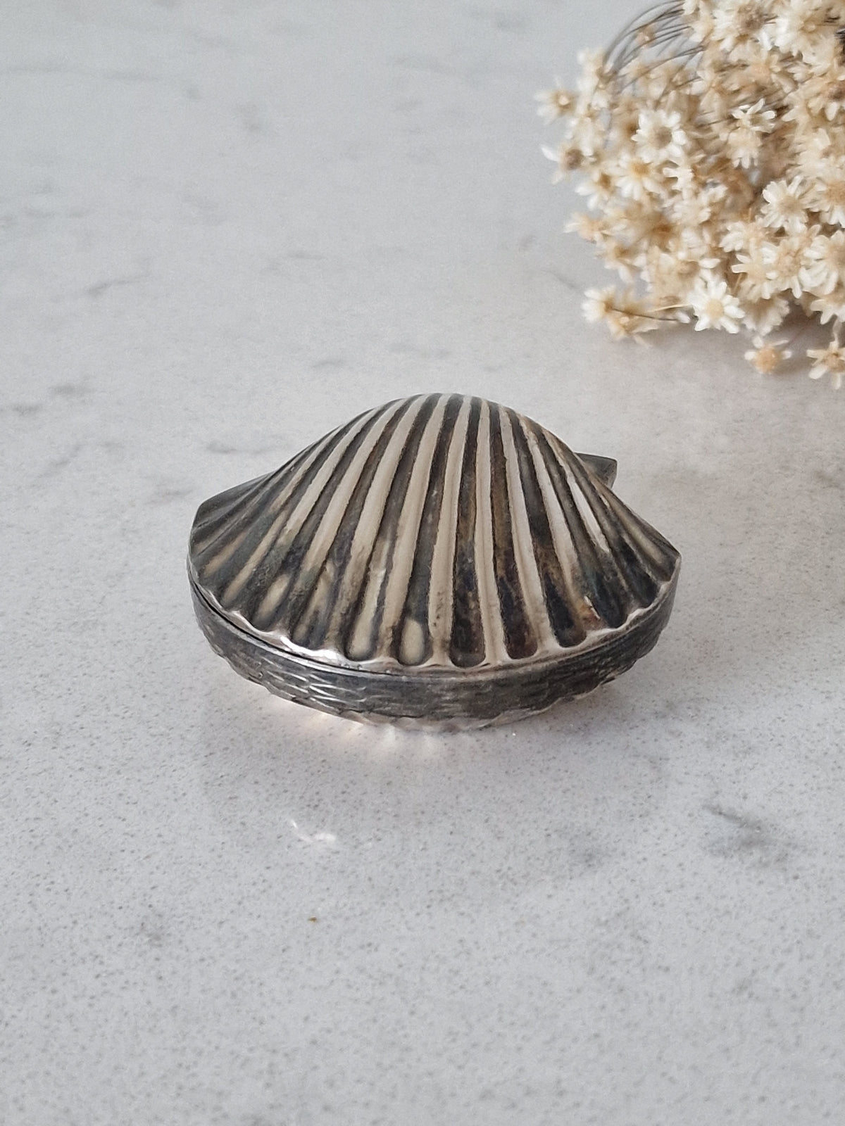 Shell boxes