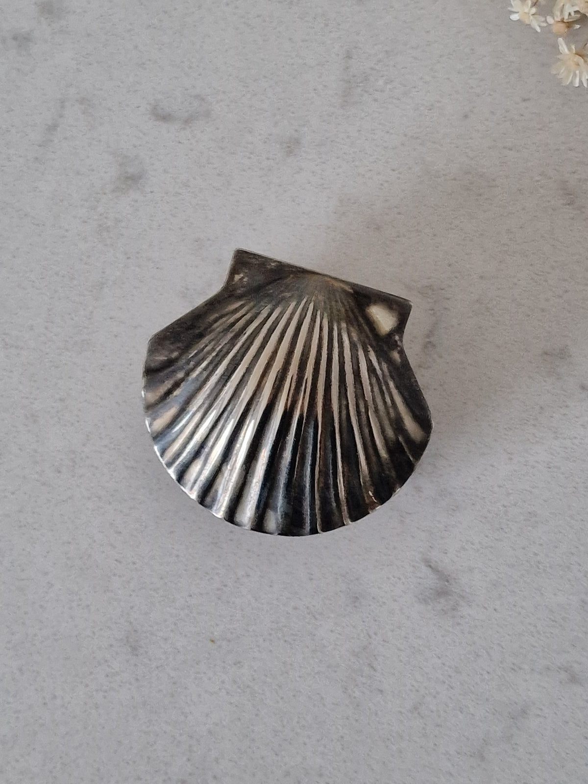 Shell boxes