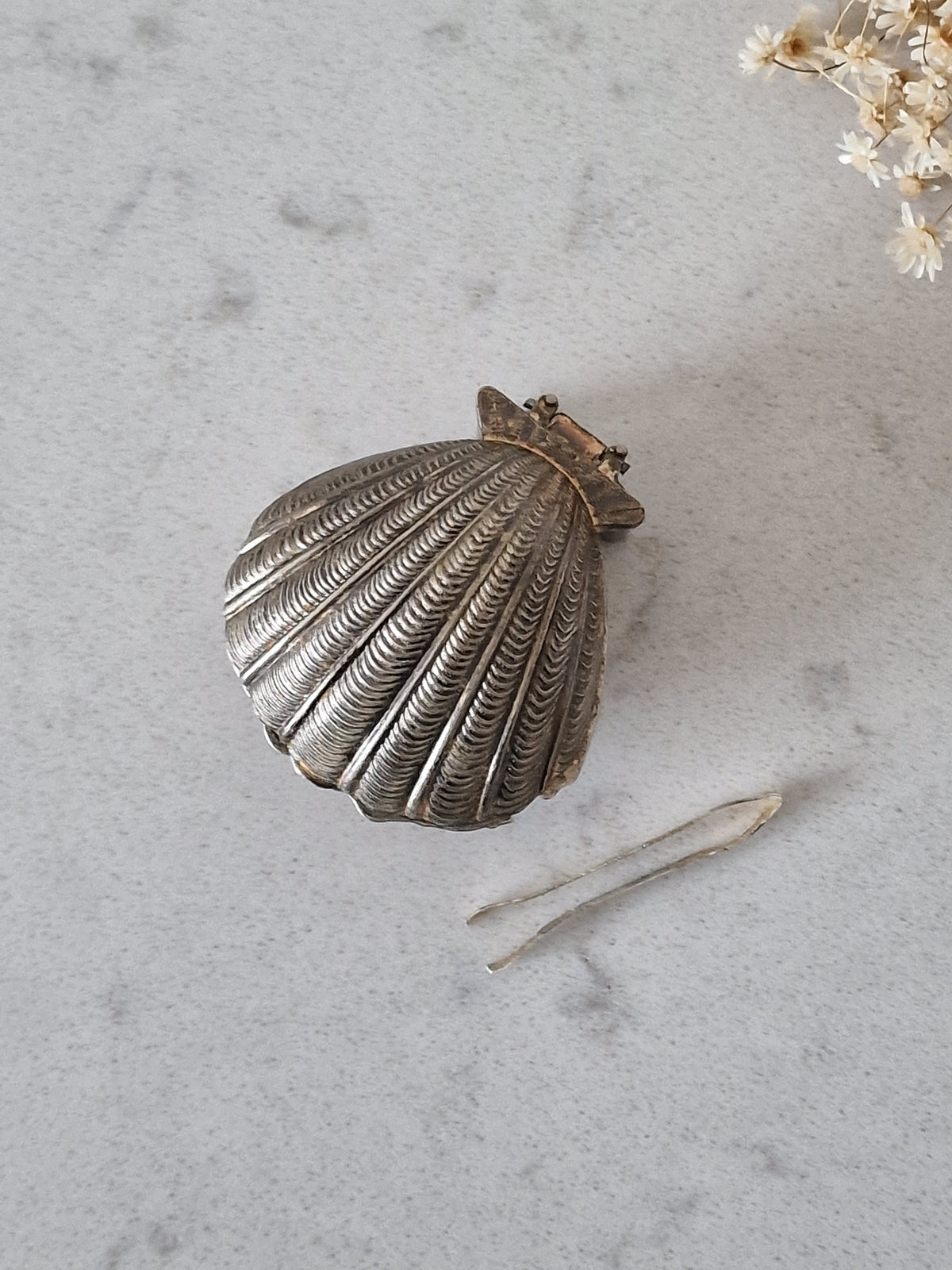Shell boxes