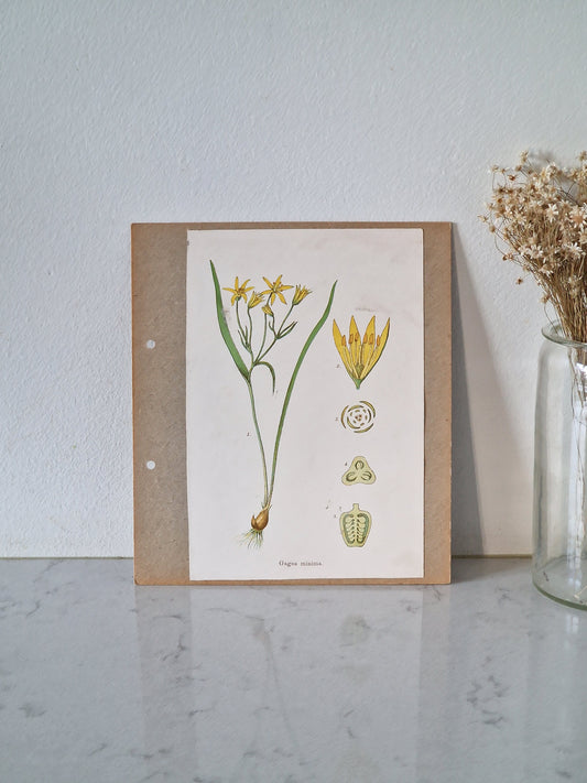 Flower painting