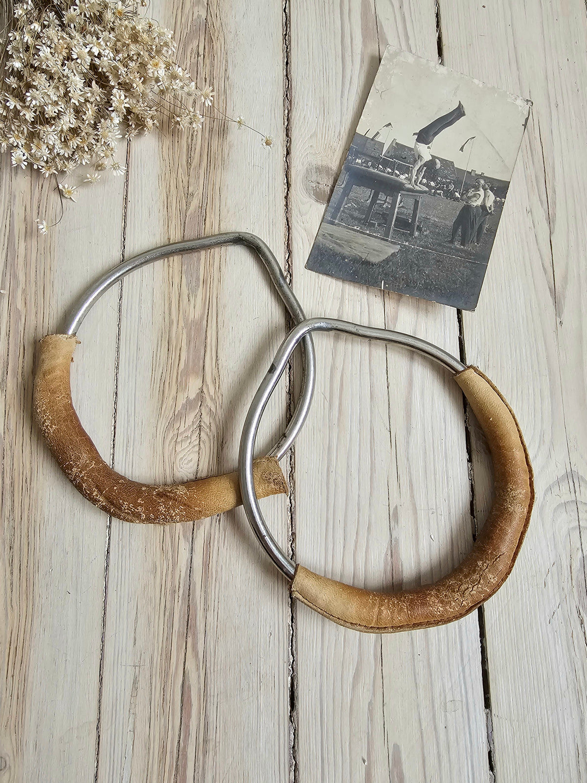 Voimistelurenkaat