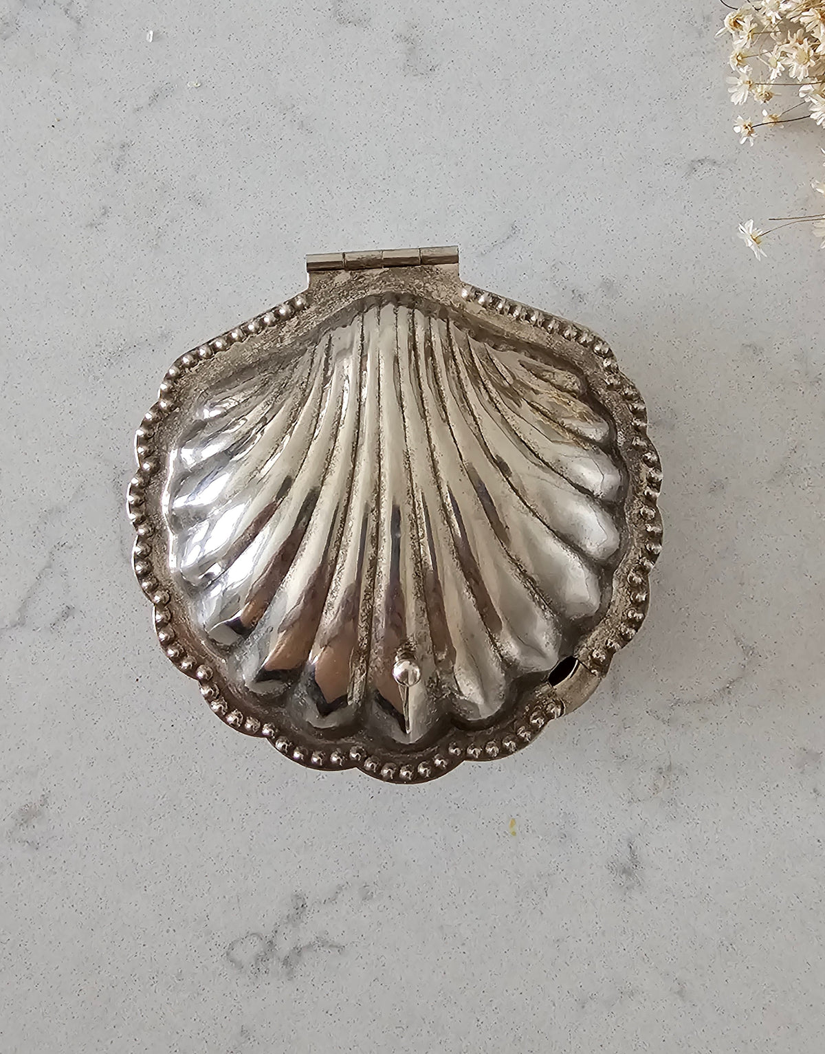 Vanha metallisimpukka