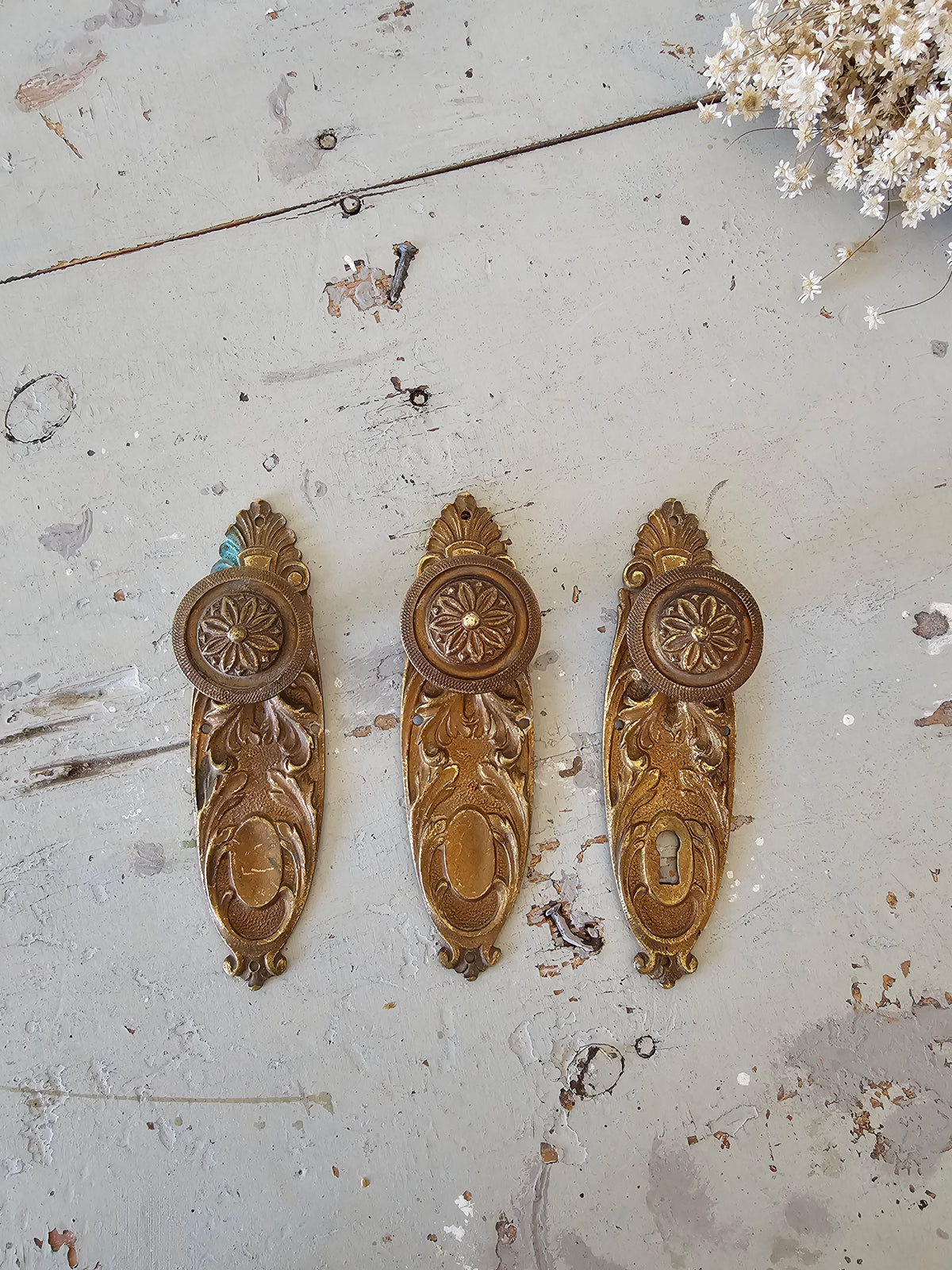 Door rosettes
