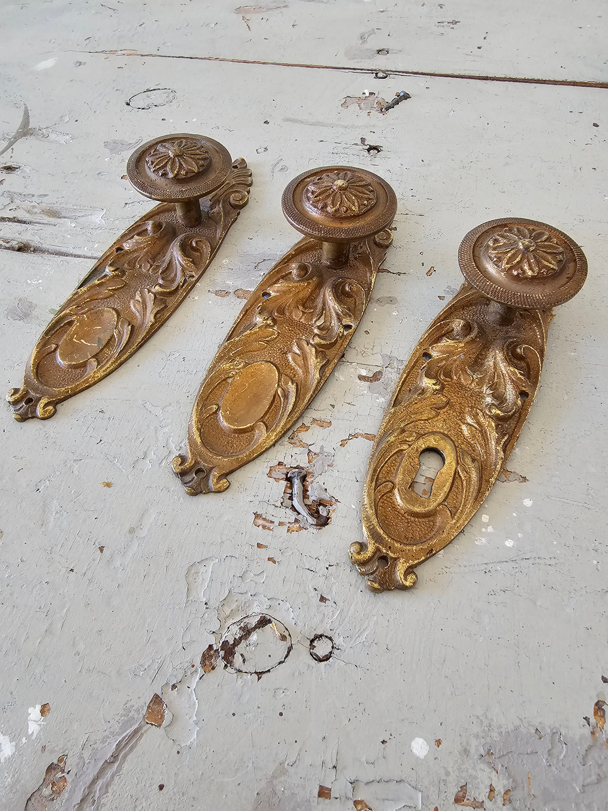 Door rosettes