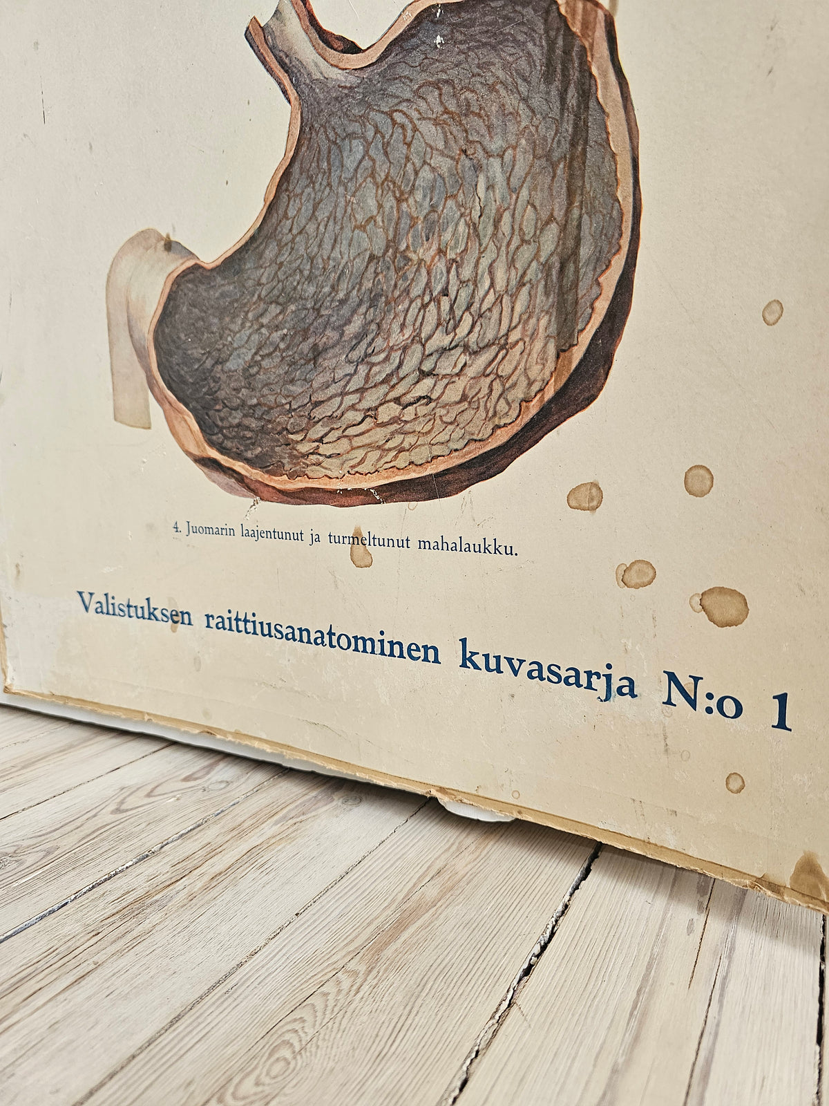 Valistuksen raittiusanatominen kuvasarja Nro. 1