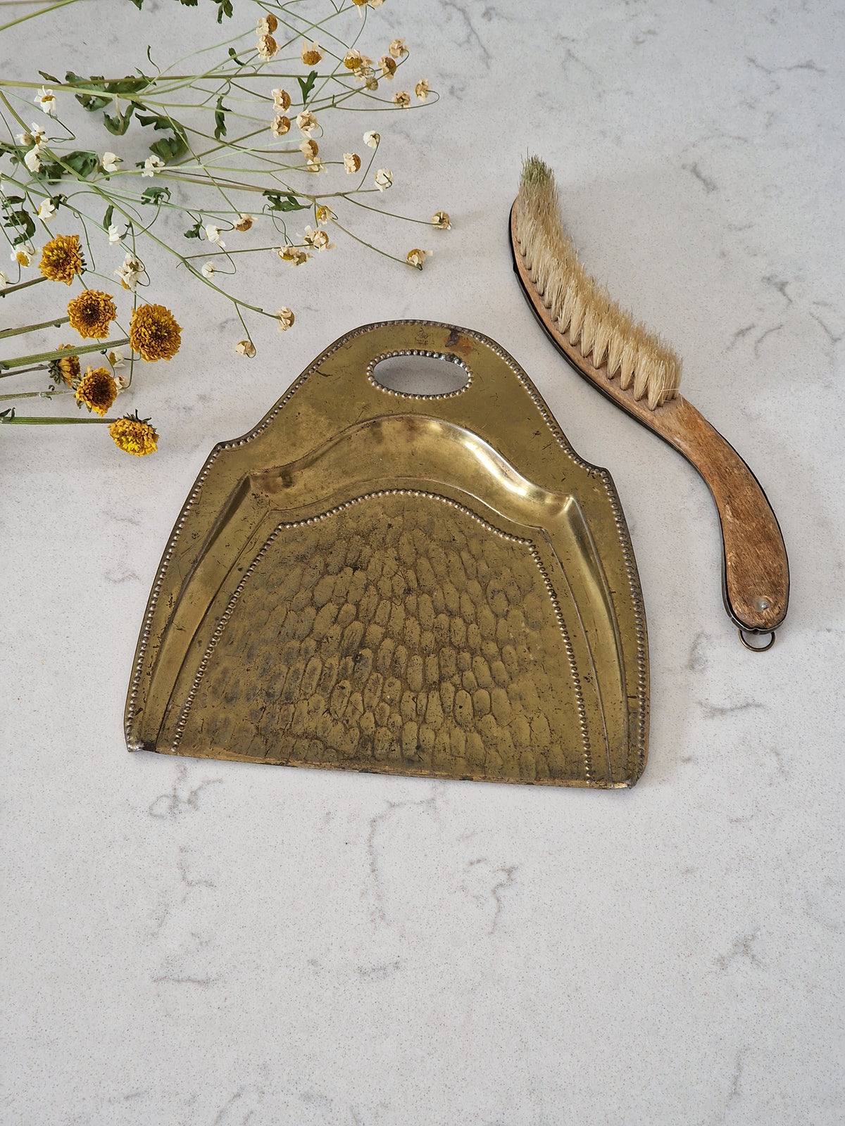 Weed shovel and brush