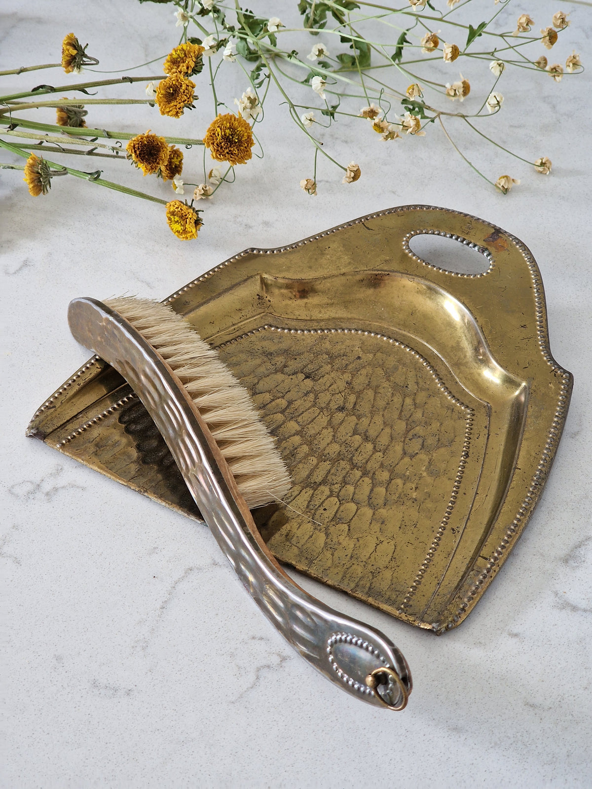 Weed shovel and brush