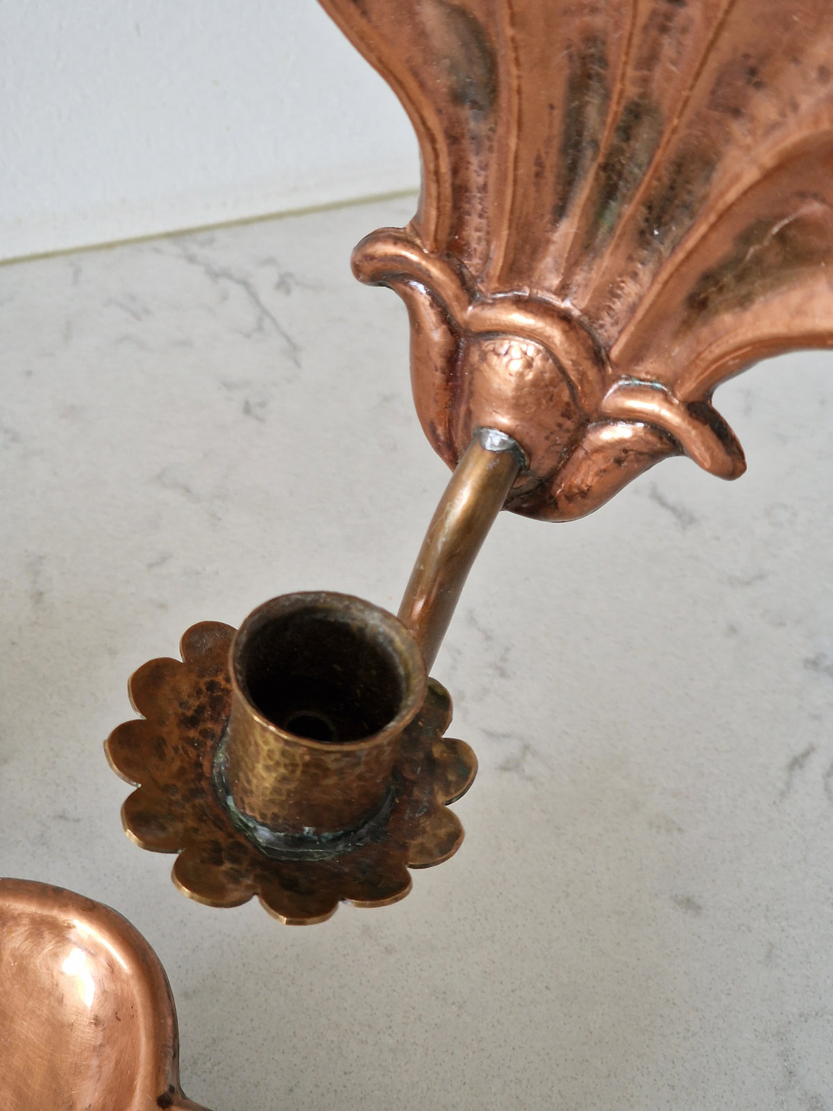 Shell wall sconces