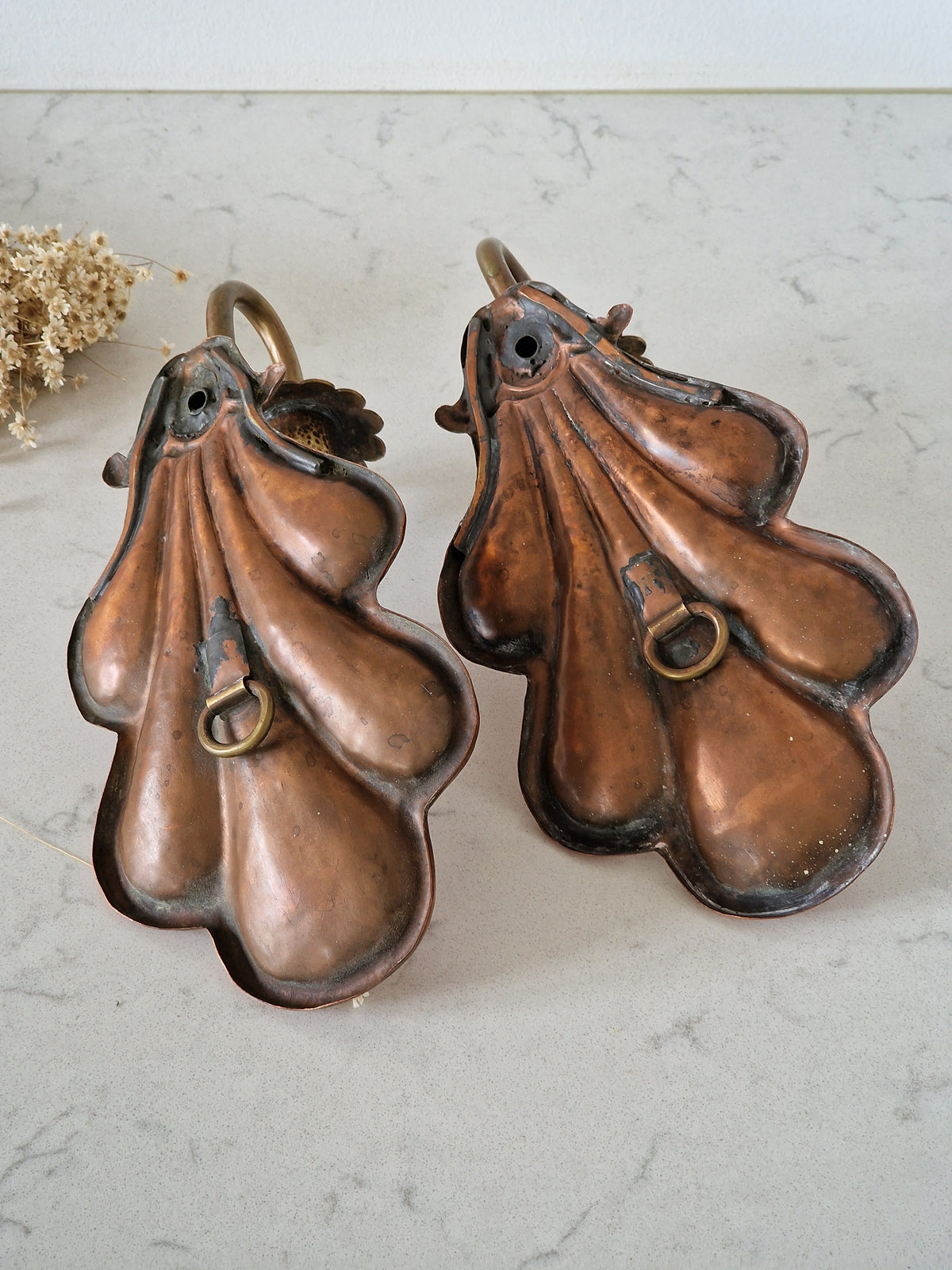 Shell wall sconces