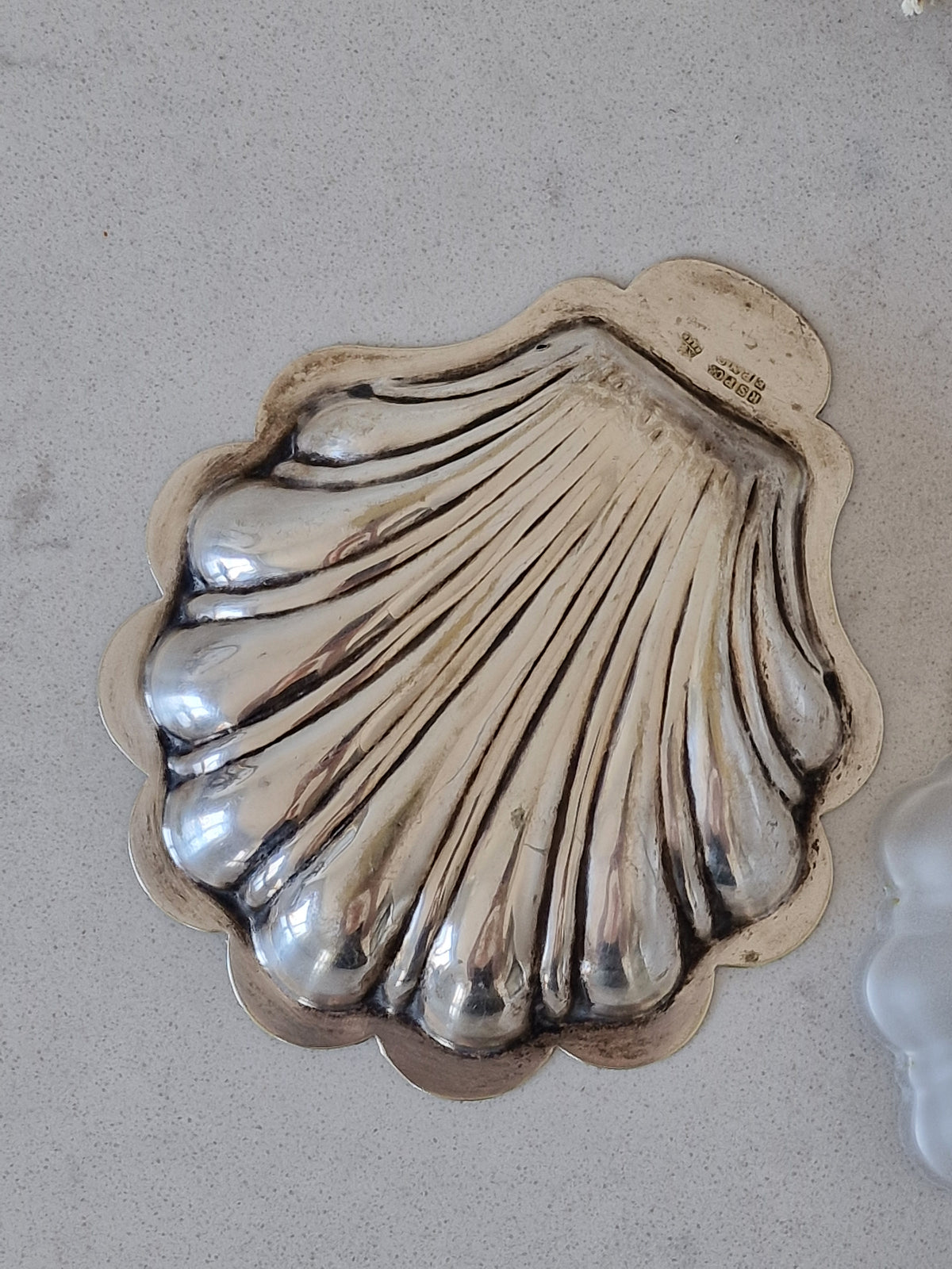 Vanha metallinen simpukka
