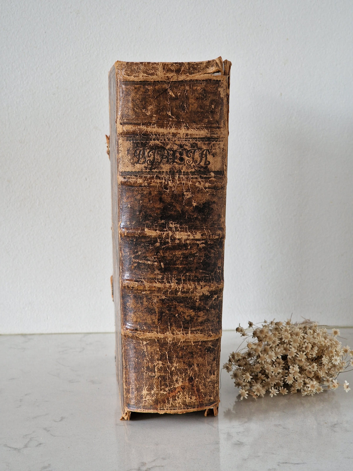 Vanha raamattu 1852