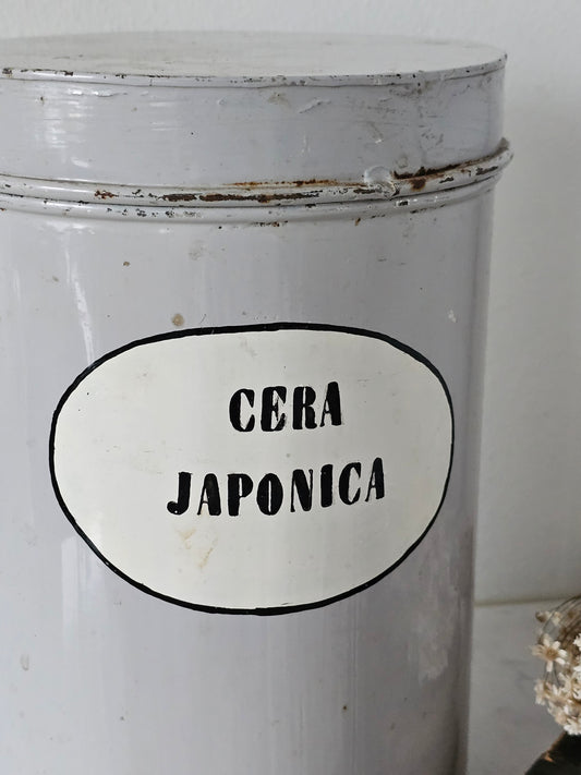 Cera Japonica purkki