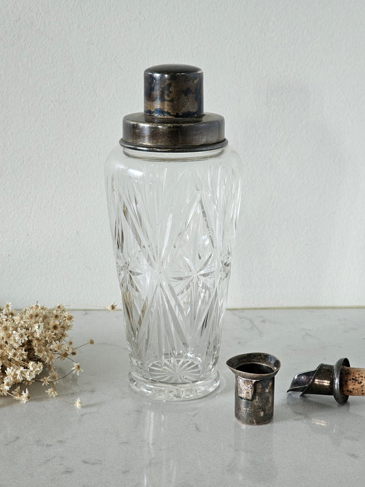 Kristallinen vintage shaker