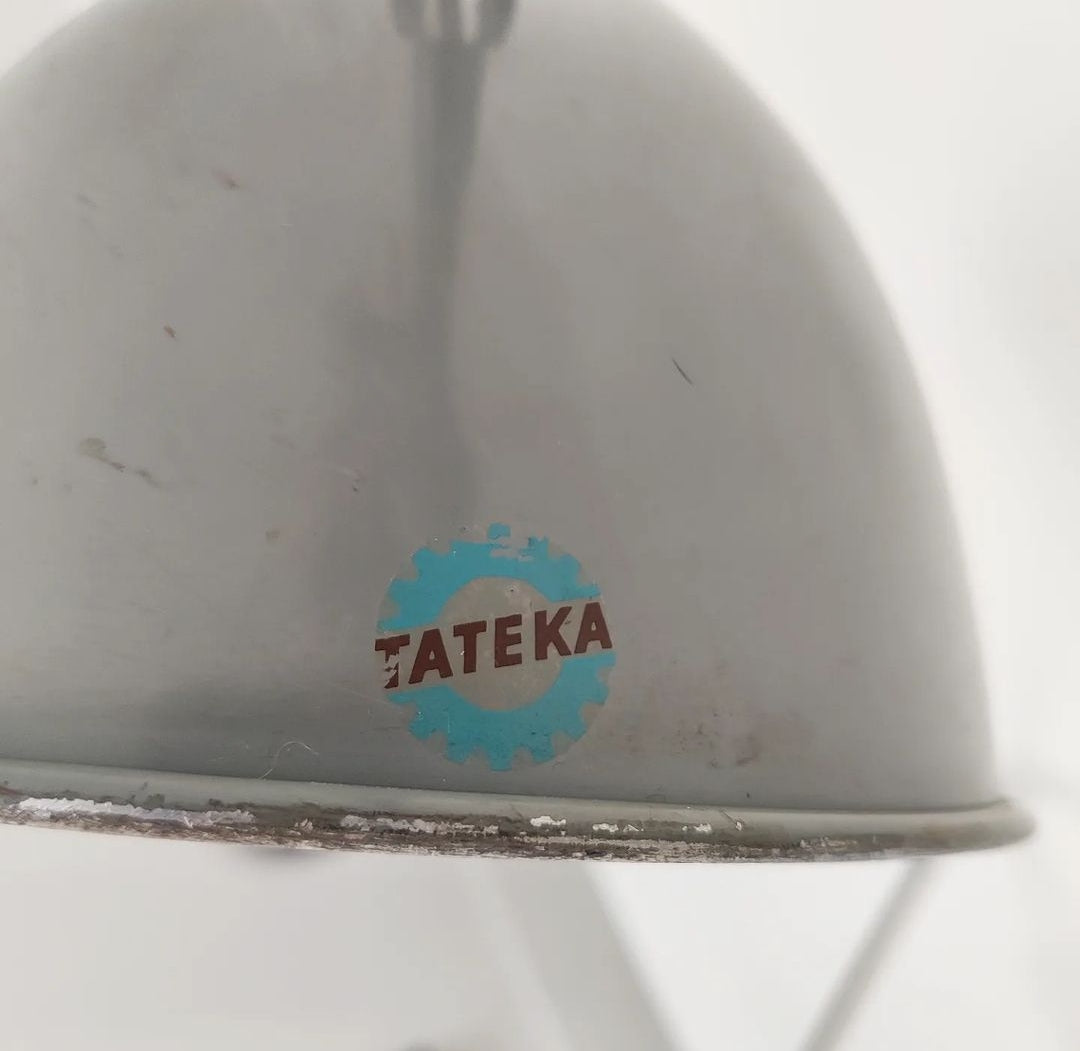Tateka haitarivalaisin