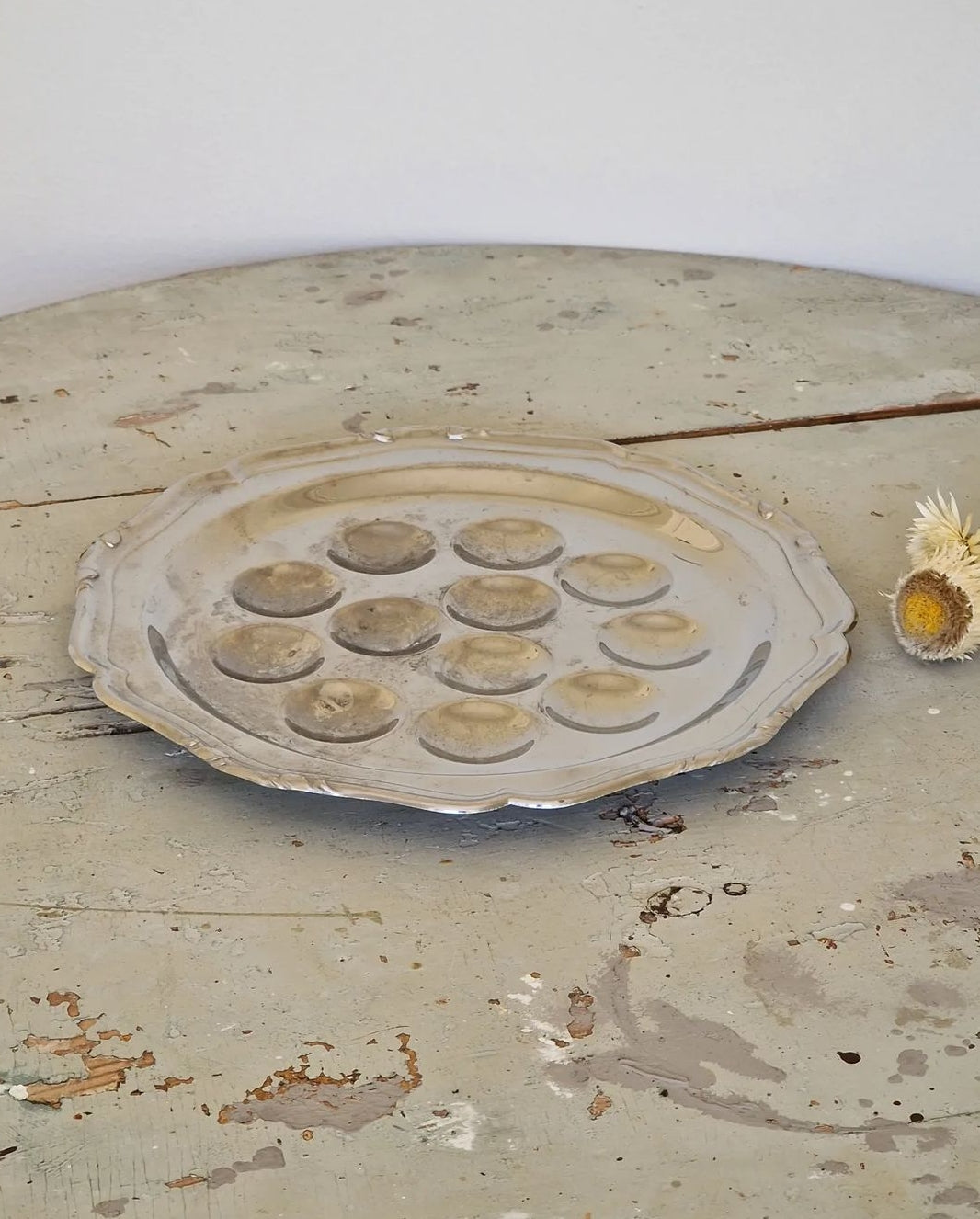 Snail plates 5 pcs