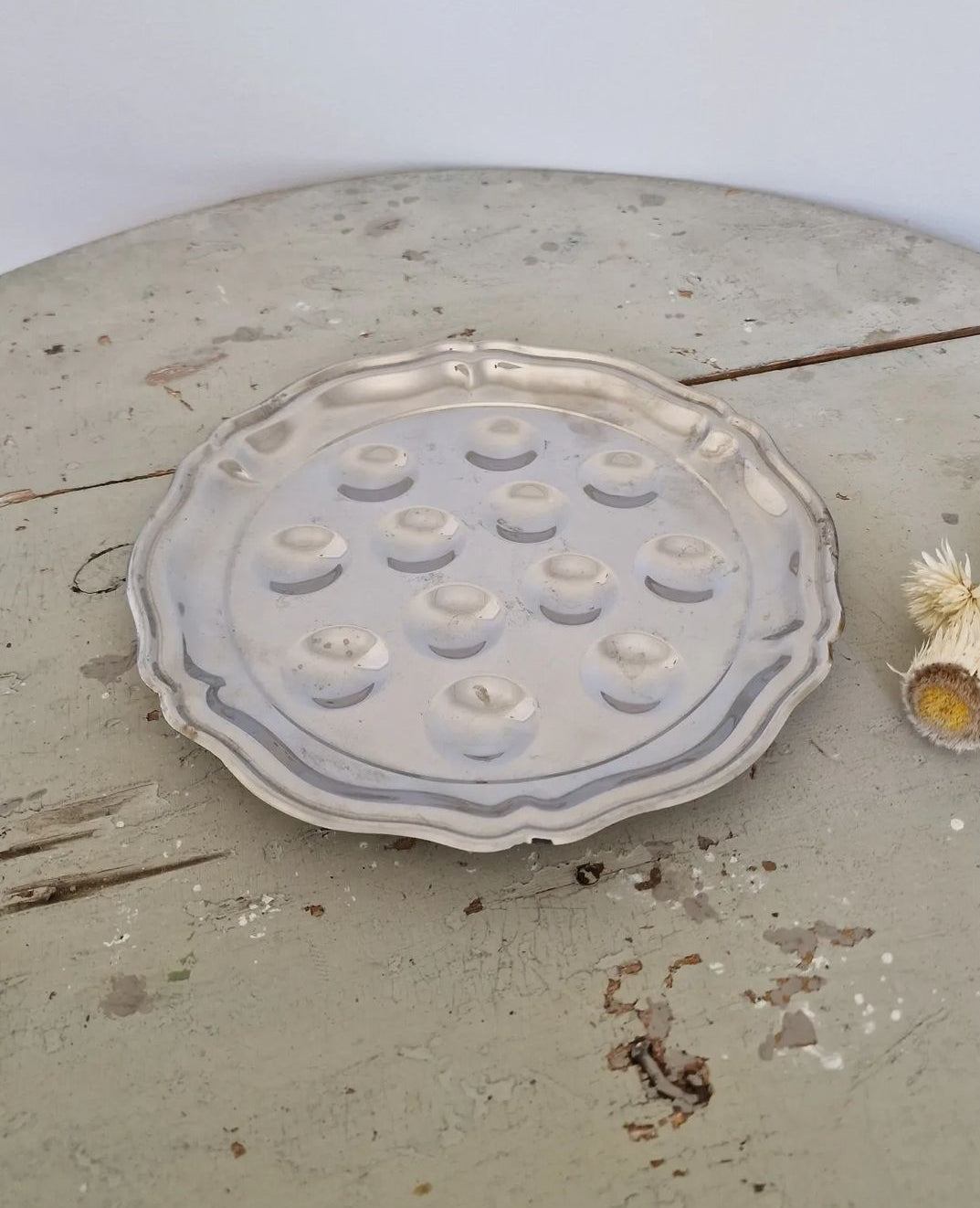 Snail plates 5 pcs