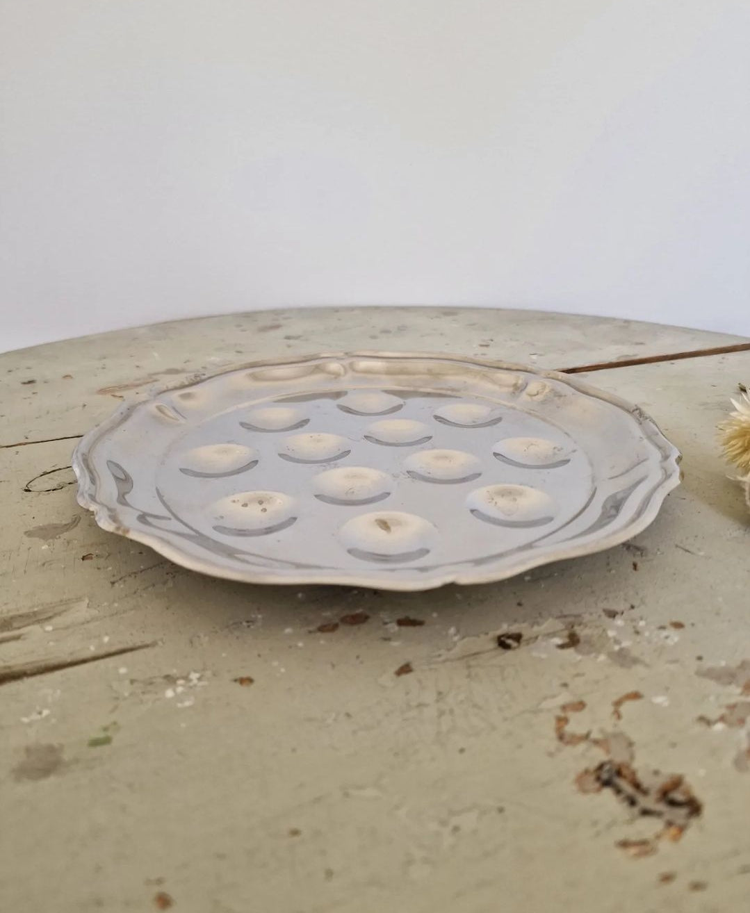 Snail plates 5 pcs