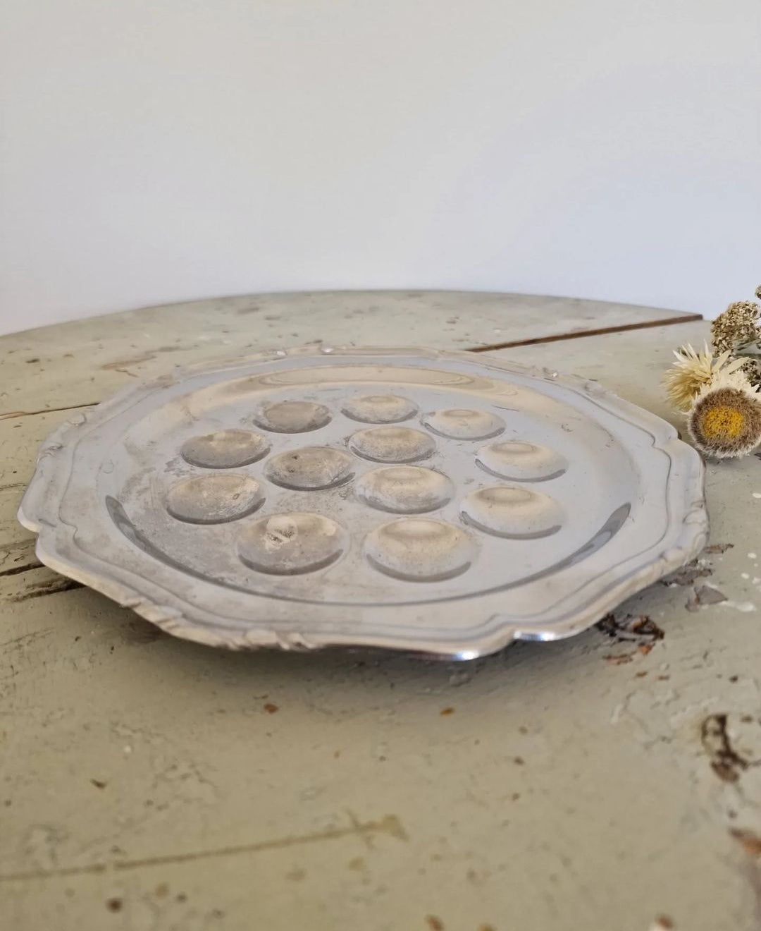Snail plates 5 pcs