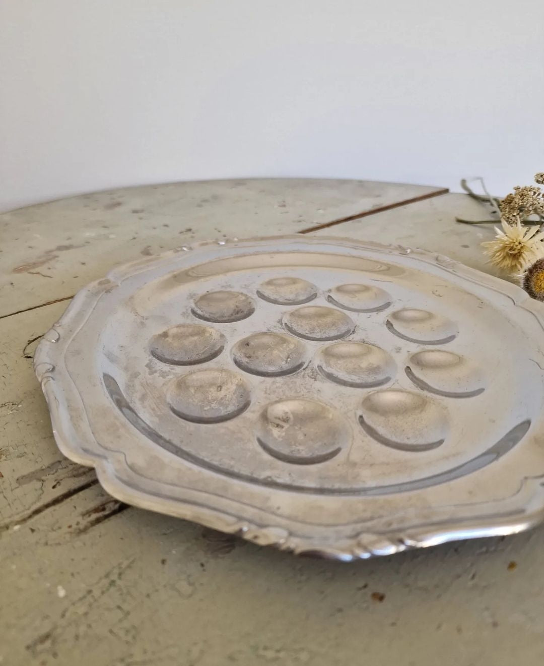 Snail plates 5 pcs