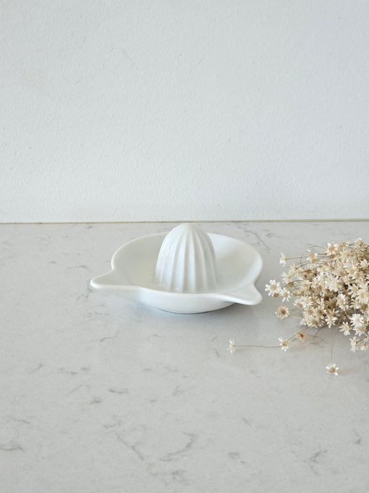 Citrus squeezer