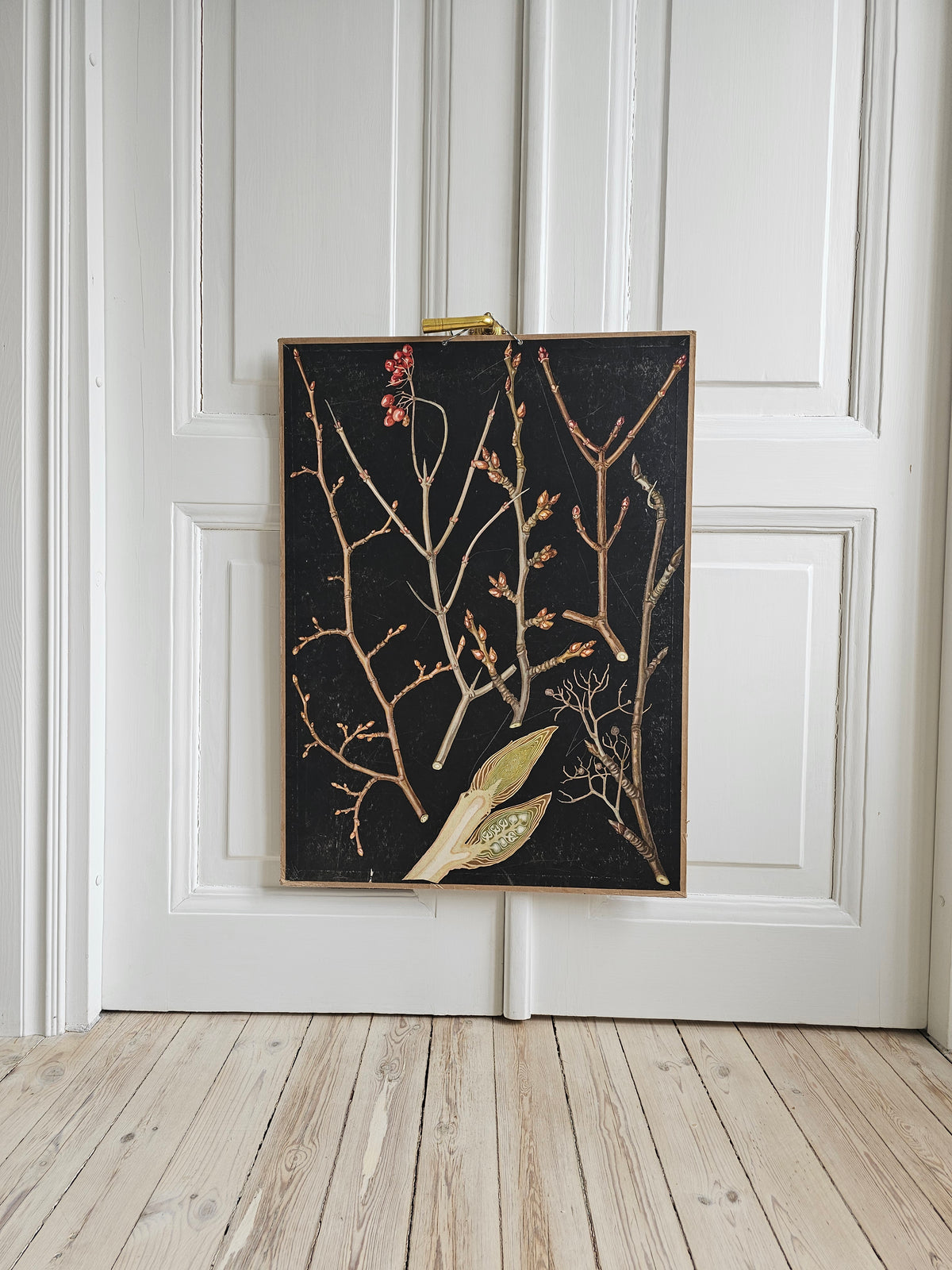 Ebba Masalin, Trees and bushes in their winter outfits