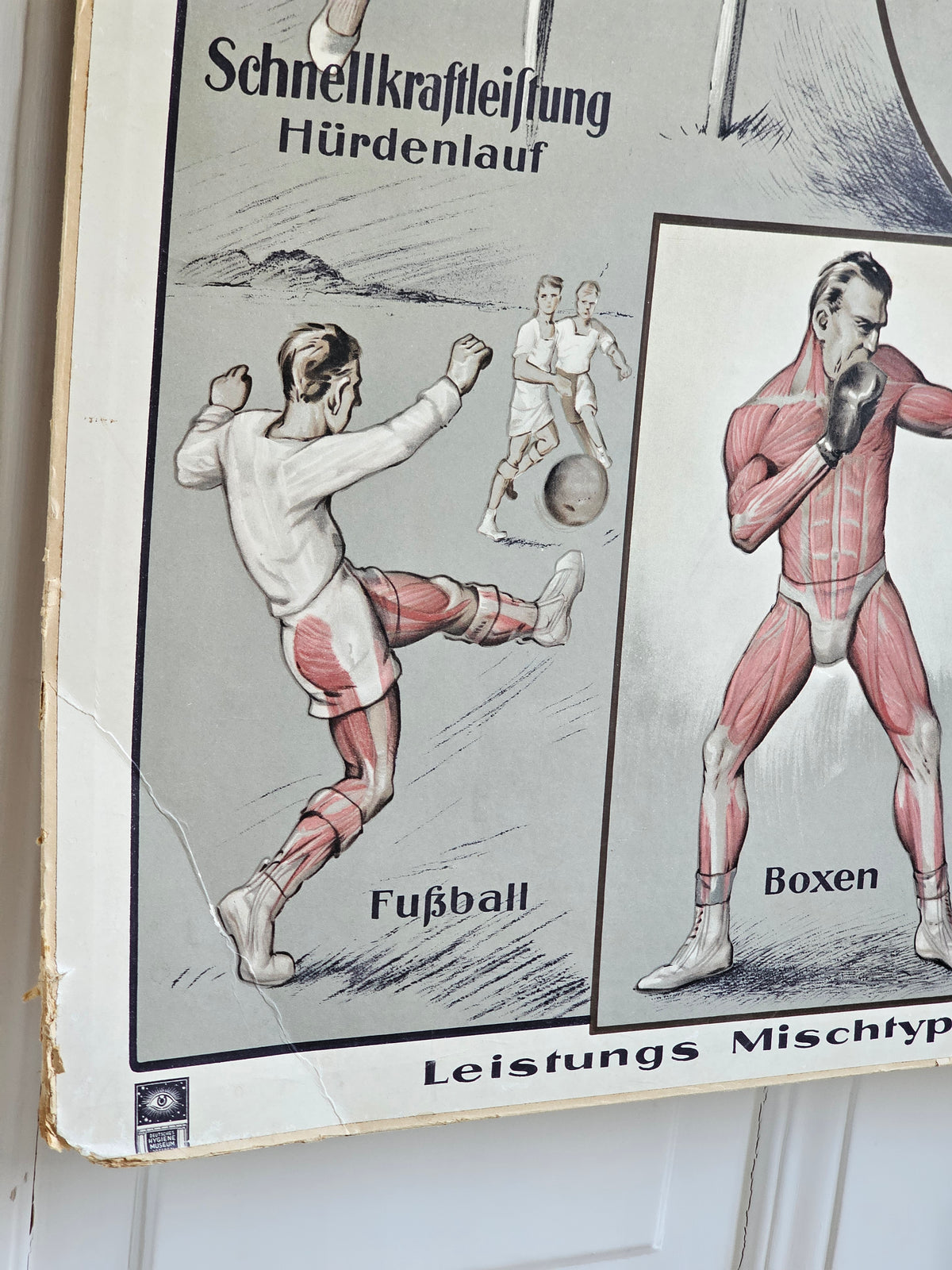 Urheiluaiheinen opetustaulu