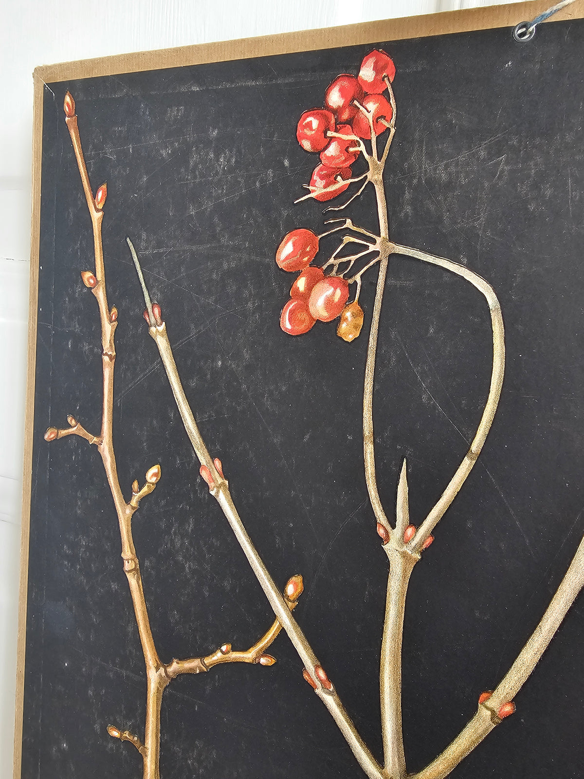 Ebba Masalin, Trees and bushes in their winter outfits