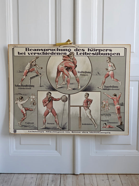 Urheiluaiheinen opetustaulu