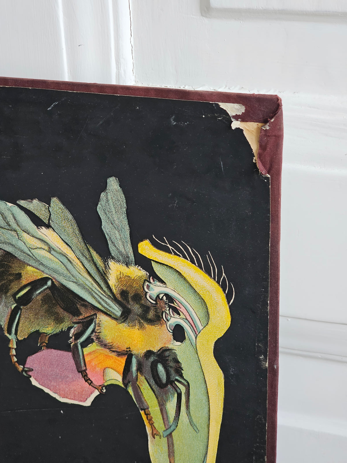 Ebba Masal's Keltapillike, 1950s