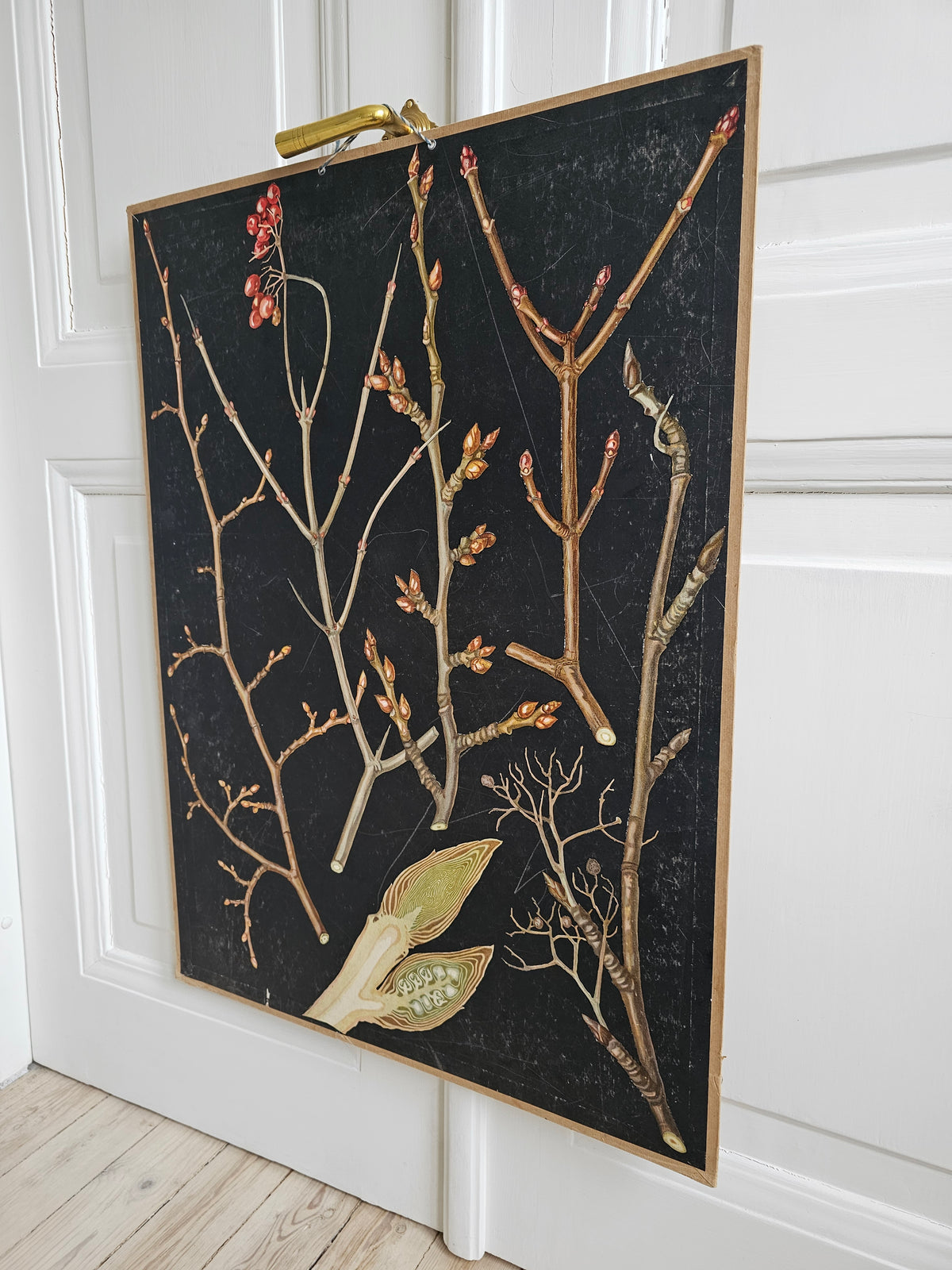 Ebba Masalin, Trees and bushes in their winter outfits