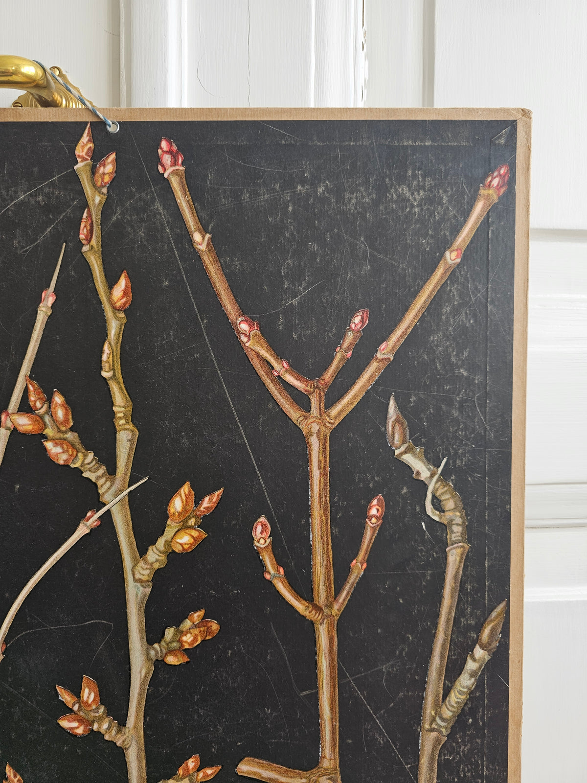 Ebba Masalin, Trees and bushes in their winter outfits